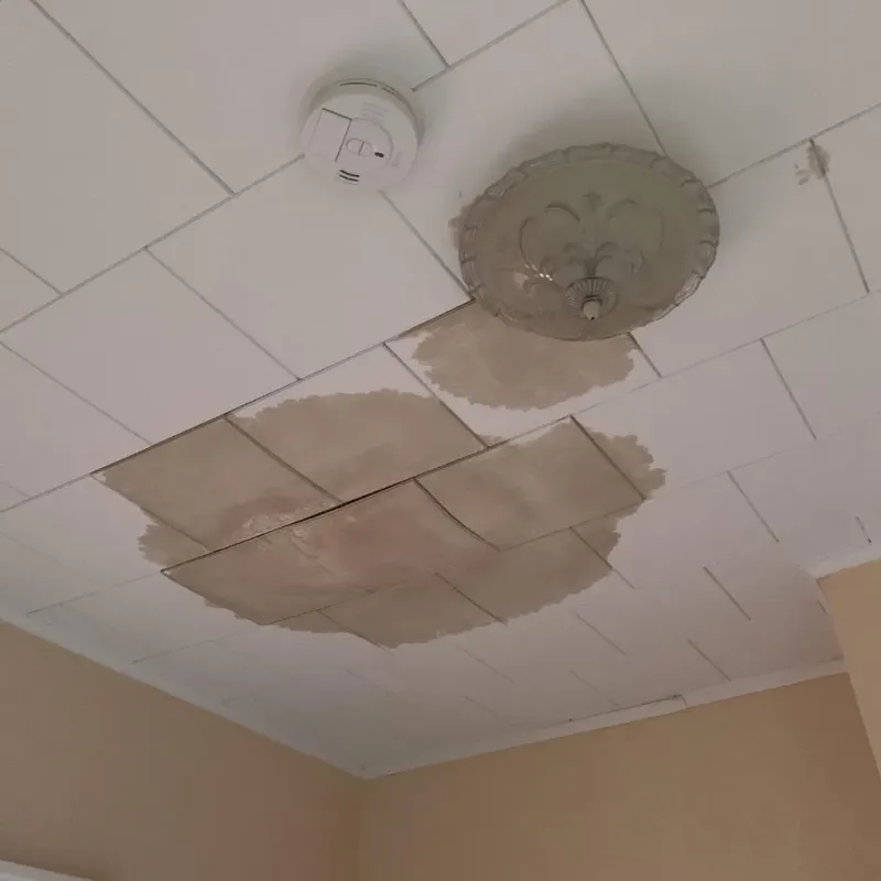 Ceiling Water Damage Repair in Kenosha, WI