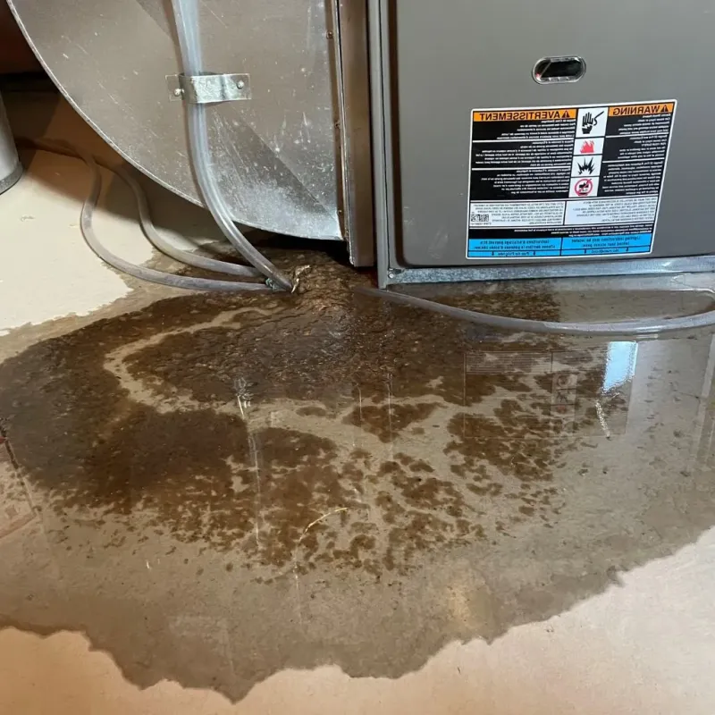 Pipe Burst and Leak Restoration in Kenosha, WI